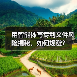用智能体写专利文件风险揭秘，如何规避？（图4）