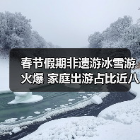 春节假期非遗游冰雪游火爆 家庭出游占比近八成（图4）