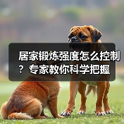 居家锻炼强度怎么控制？专家教你科学把握（图2）