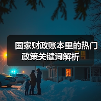 国家财政账本里的热门政策关键词解析（图2）