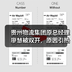 贵州物流集团原总经理廖慧被双开，原因引热议（图1）