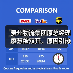 贵州物流集团原总经理廖慧被双开，原因引热议（图3）