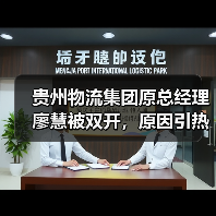 贵州物流集团原总经理廖慧被双开，原因引热议（图2）