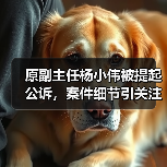 原副主任杨小伟被提起公诉，案件细节引关注（图3）