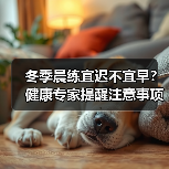 冬季晨练宜迟不宜早？健康专家提醒注意事项（图4）