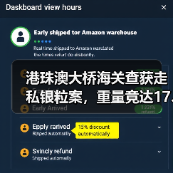 港珠澳大桥海关查获走私银粒案，重量竟达17.55千克（图4）