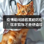 疫情期间躺着真能防疫？居家锻炼才是硬道理！（图4）