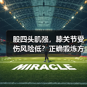 股四头肌强，膝关节受伤风险低？正确锻炼方法揭秘（图4）
