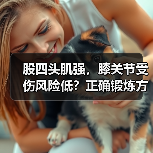股四头肌强，膝关节受伤风险低？正确锻炼方法揭秘（图3）