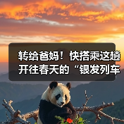 转给爸妈！快搭乘这趟开往春天的“银发列车”（图3）