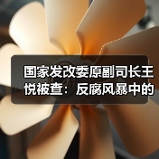 国家发改委原副司长王悦被查：反腐风暴中的关键人物（图3）