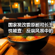 国家发改委原副司长王悦被查：反腐风暴中的关键人物（图4）