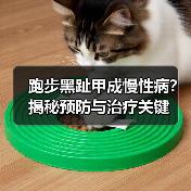 跑步黑趾甲成慢性病？揭秘预防与治疗关键（图1）