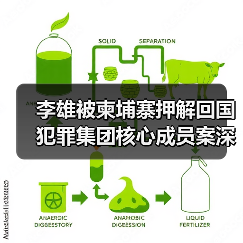 李雄被柬埔寨押解回国 犯罪集团核心成员案深度解析（图1）