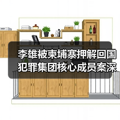 李雄被柬埔寨押解回国 犯罪集团核心成员案深度解析（图3）