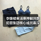 李雄被柬埔寨押解回国 犯罪集团核心成员案深度解析（图4）