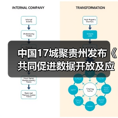 中国17城聚贵州发布《共同促进数据开放及应用行动宣言》（图2）