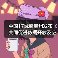 中国17城聚贵州发布《共同促进数据开放及应用行动宣言》（图3）
