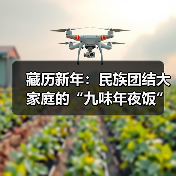 藏历新年：民族团结大家庭的“九味年夜饭”（图2）