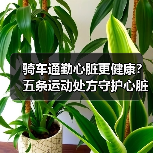 骑车通勤心脏更健康？五条运动处方守护心脏（图3）