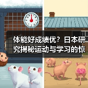 体能好成绩优？日本研究揭秘运动与学习的惊人关联（图2）