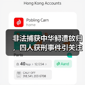 非法捕获中华鲟遭放归，四人获刑事件引关注（图4）