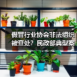 假冒行业协会非法组织被查处？民政部典型案例曝光（图4）