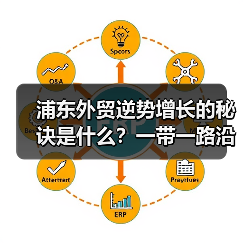 浦东外贸逆势增长的秘诀是什么?一带一路沿线国家成主战场(图2) 浦东外贸逆势增长的秘诀是什么?一带一路沿线国家成主战场(图2)