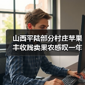 山西平陆部分村庄苹果丰收贱卖果农感叹一年白忙（图1）