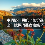 中消协：民航“加价选座”试探消费者底线 不应成为“行业惯例”