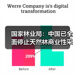 国家林业局:中国已全面停止天然林商业性采伐(图1) 国家林业局:中国已全面停止天然林商业性采伐(图1)