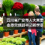 四川省广安市人大常委会原党组副书记杨世章被