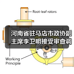 河南省驻马店市政协副主席李卫明接受审查调查