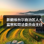 新疆维吾尔自治区人大监察和司法委员会主任委员张秀成接受审查调查（图2）