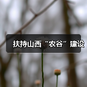 扶持山西“农谷”建设（图1）