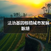 法治基因根植城市发展脉络（图4）