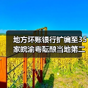 地方坏账银行扩编至35家皖渝粤酝酿当地第二家(图3) 地方坏账银行扩编至35家皖渝粤酝酿当地第二家(图3)