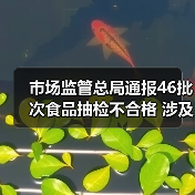 市场监管总局通报46批次食品抽检不合格 涉及奶茶、酱油、土豆粉等