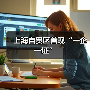 上海自贸区首现“一企一证”（图2）