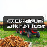 每天压腿能缓解脚痛?三种拉伸动作让脚部更健康(图2) 每天压腿能缓解脚痛?三种拉伸动作让脚部更健康(图2)