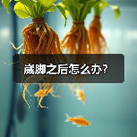 崴脚之后怎么办?(图3) 崴脚之后怎么办?(图3)