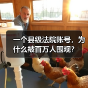 一个县级法院账号，为什么被百万人围观？（图2）