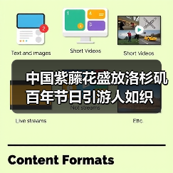 中国紫藤花盛放洛杉矶百年节日引游人如织（图4）