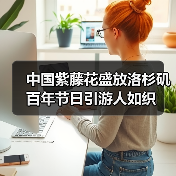 中国紫藤花盛放洛杉矶百年节日引游人如织（图2）