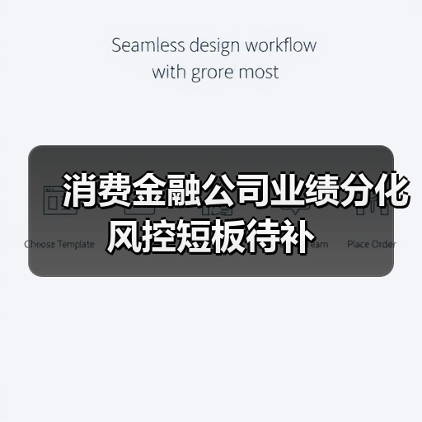 消费金融公司业绩分化风控短板待补（图4）