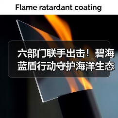 六部门联手出击！碧海蓝盾行动守护海洋生态（图3）