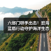 六部门联手出击！碧海蓝盾行动守护海洋生态（图4）