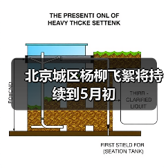 北京城区杨柳飞絮将持续到5月初(图3) 北京城区杨柳飞絮将持续到5月初(图3)