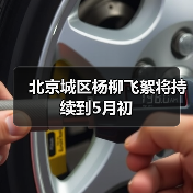 北京城区杨柳飞絮将持续到5月初(图4) 北京城区杨柳飞絮将持续到5月初(图4)