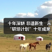 十年深耕 非遗新生――从“研培计划”十年成果展看非遗传承的探索与突破(图4) 十年深耕 非遗新生――从“研培计划”十年成果展看非遗传承的探索与突破(图4)